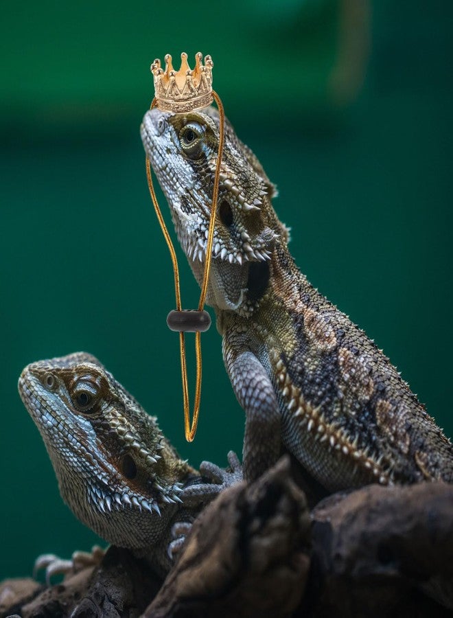 BCOATH Reptile Crown Hat and Necklace Set for Small Pets - Lightweight Costume Accessory for Lizards Bearded Dragons Festival Photo Props - Image 3